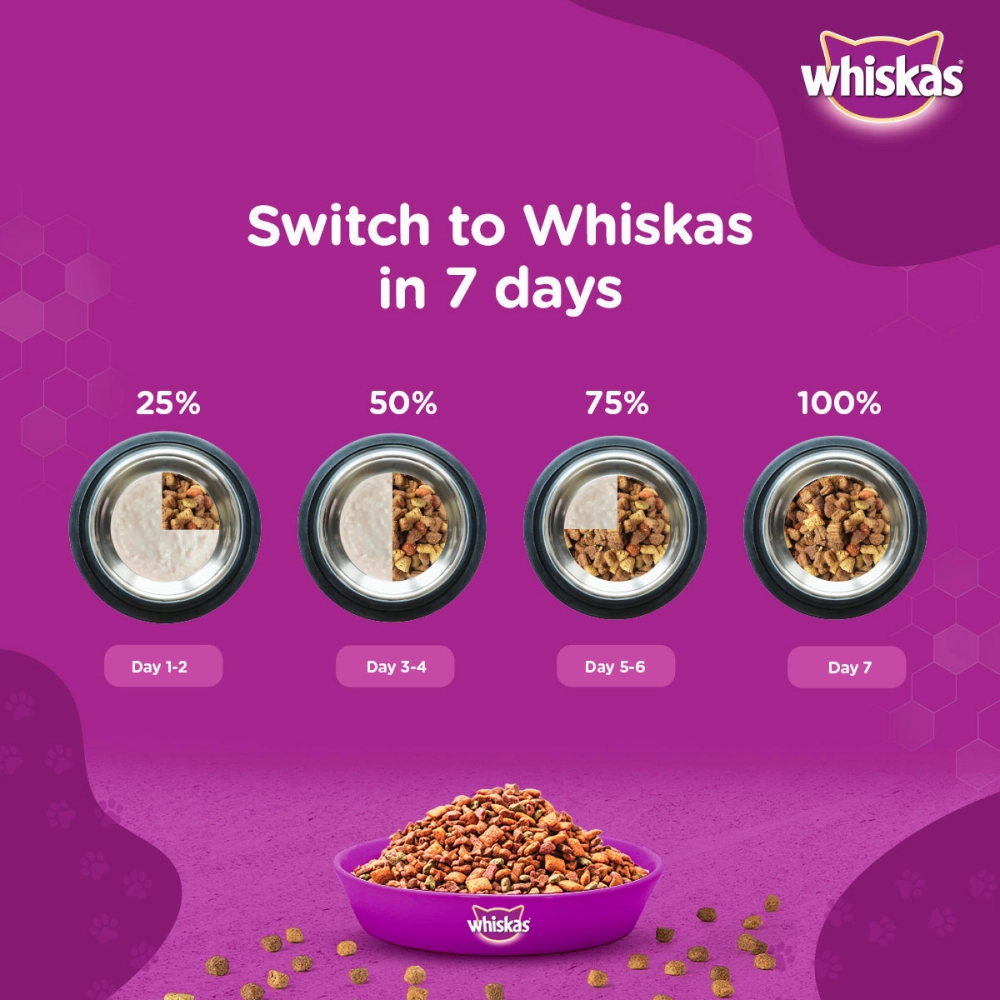 Whiskas Ocean Fish Flavour Adult Cat Dry and Wet Food Combo