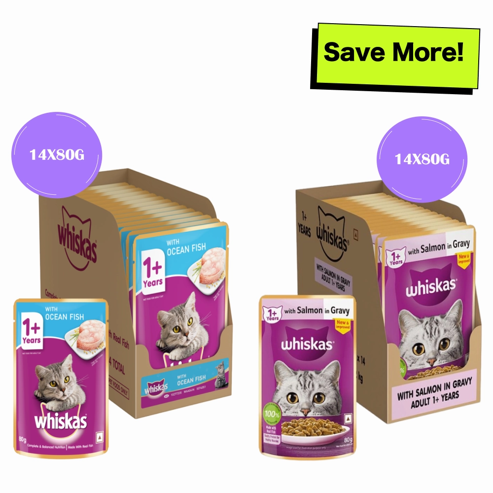 Whiskas Salmon in Gravy Meal and Ocean Fish Adult Cat Wet Food Combo