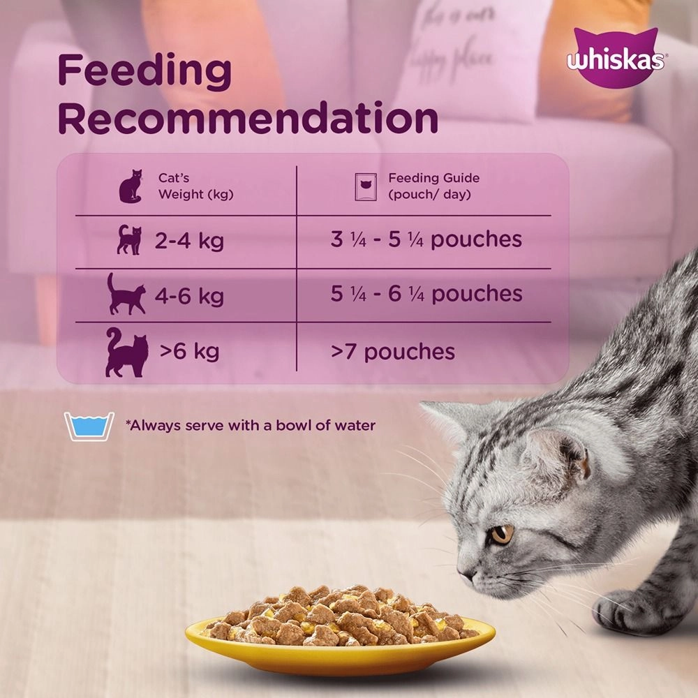 Whiskas Salmon in Gravy Meal and Ocean Fish Adult Cat Wet Food Combo
