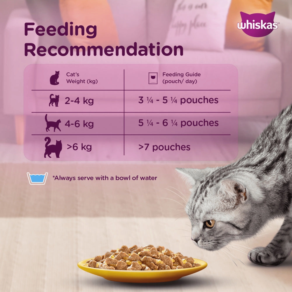 Whiskas Tuna in Jelly Kitten and Chicken Gravy Adult Cat Wet Food Combo
