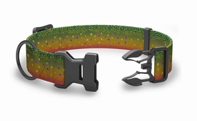 Wingo Outdoors Brook Trout Collar