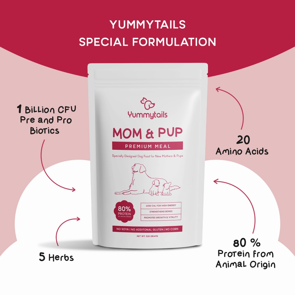 Yummytails Super Premium Mother and Puppy Dry Food | Chicken & Fish Flavor | Corn and Soya Free Formula